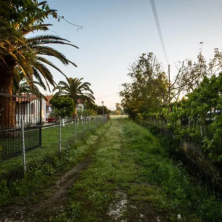 Paradise Village Ρόδα